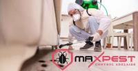 MAX Bee Removal Adelaide image 9
